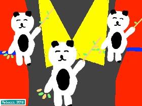 🐼Can-Can Panda’s🐼 1