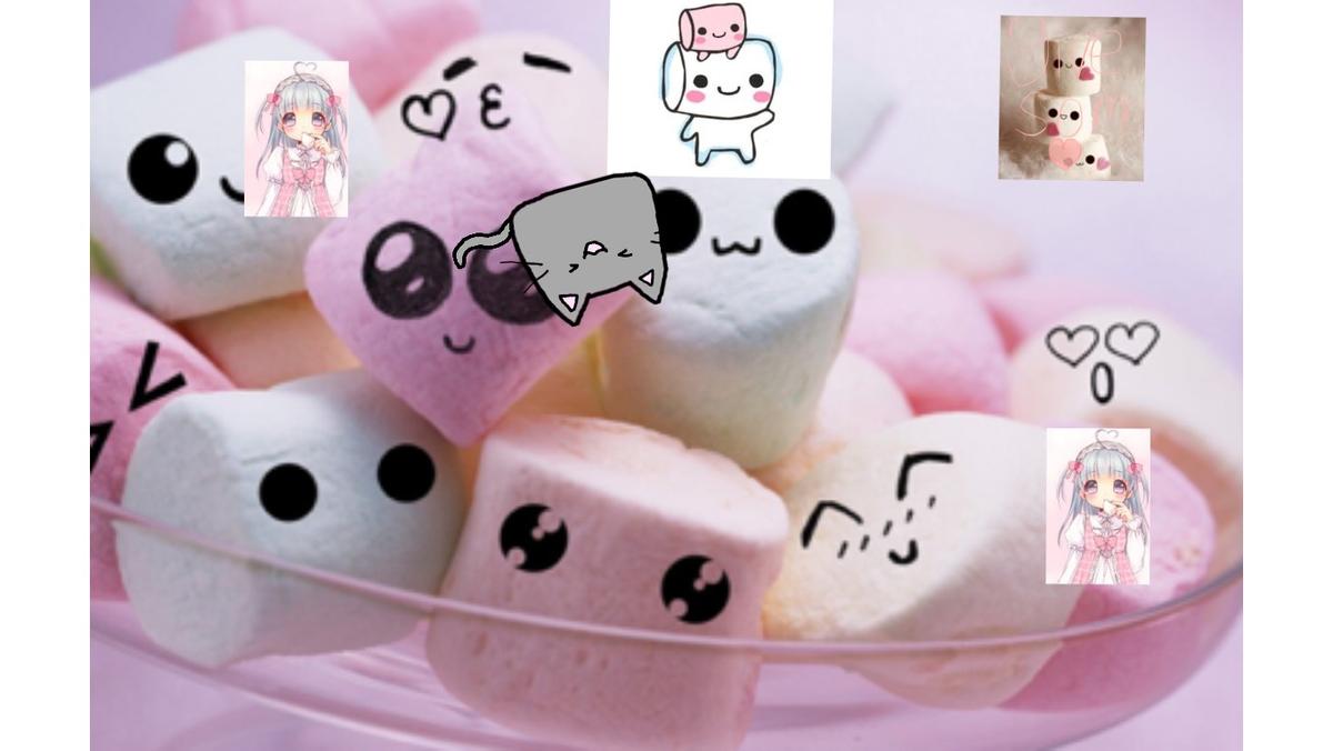 cute marshmellow and cat