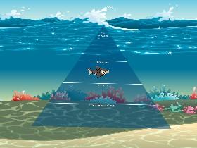 Ecological Pyramid 1