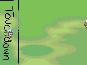 Get the TouchDown!  1