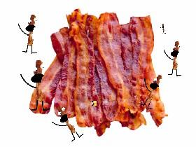 BACON LAND 1