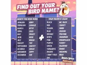 What&#039;s your Bird name?