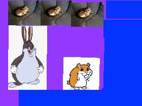 BIG CHUNGUS CLicker  1