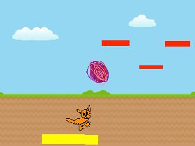 Bouncing cat 1