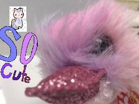 wach this !!!!!!!!`🥳