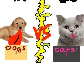 Dogs vs Cats!!🐈🐩