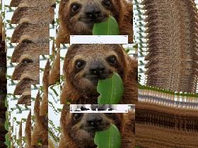 so many sloths