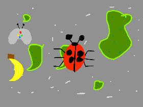 ladybird simulator