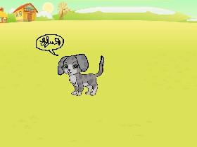 The Dog Wants A Bone