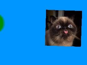 BLEP Cat for Gretchen