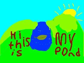Hi this is my pond