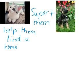 help them find a home