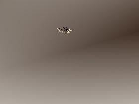 Ecological Pyramid 1