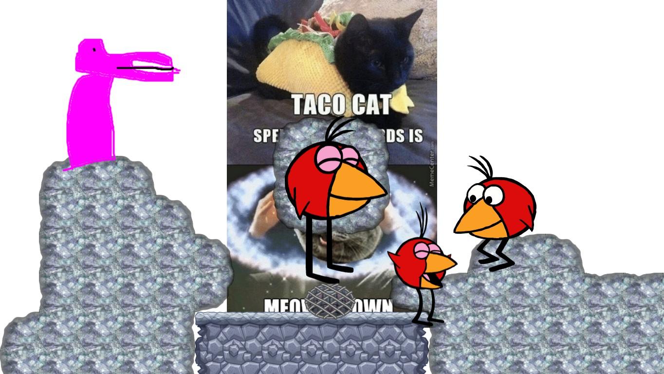 all because taco cat