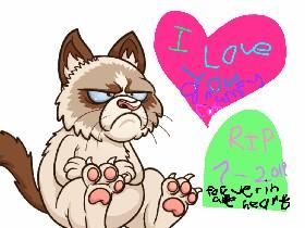 i am grumpy cat (sad)