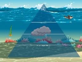 Ocean Ecological Pyramid 1