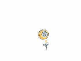 Spin Draw 2