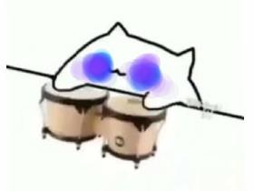 the fastest bongo cat ever
