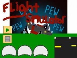 Flight Sim