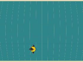 duplicating birds😆😜