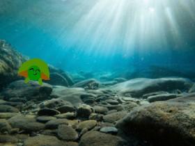 save the turtles