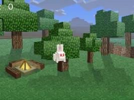 Rabbit Roundup 1