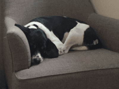 Mooties Marble Race 3