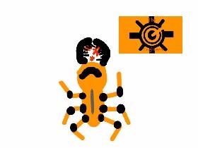 beetle challenge 1