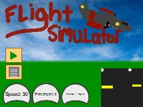 Flight Simulator 1