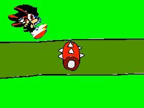shadow run