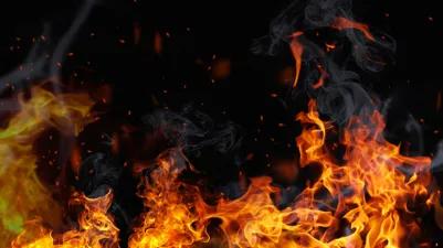 The Mooties Revolution Flag