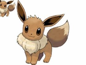 eevee spin draw