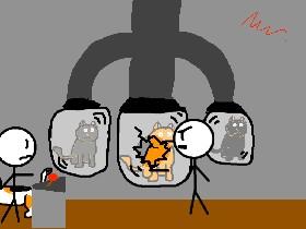 Where cats are illegal 1 1