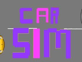 Car Sim RELEASED 1