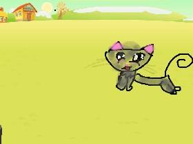 KITTY