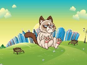 grumpy cat is MAD