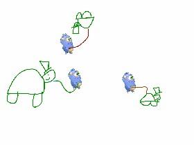 walk some turtles yay