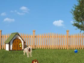 Doggy Dog Pet
