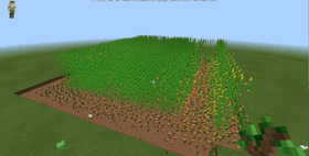 grassland paradise