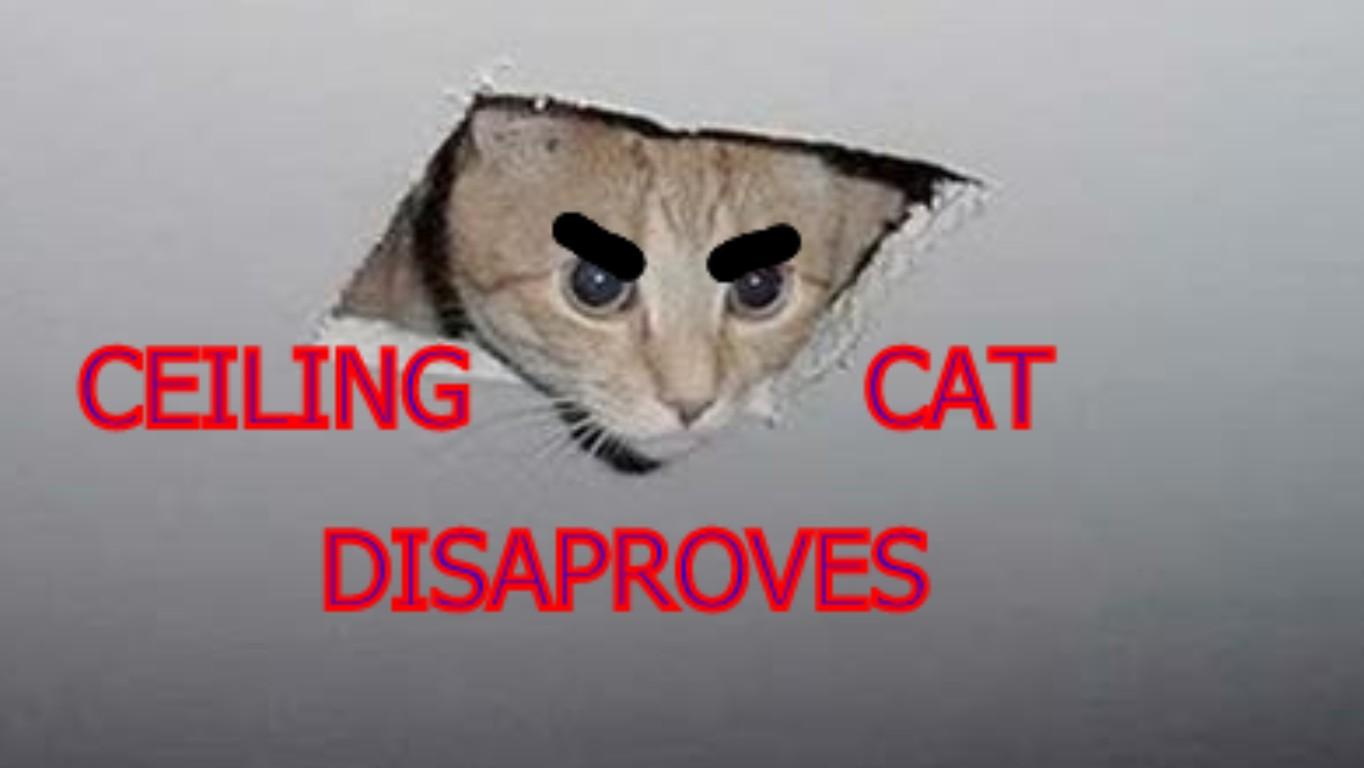 CEILING CAT!!!