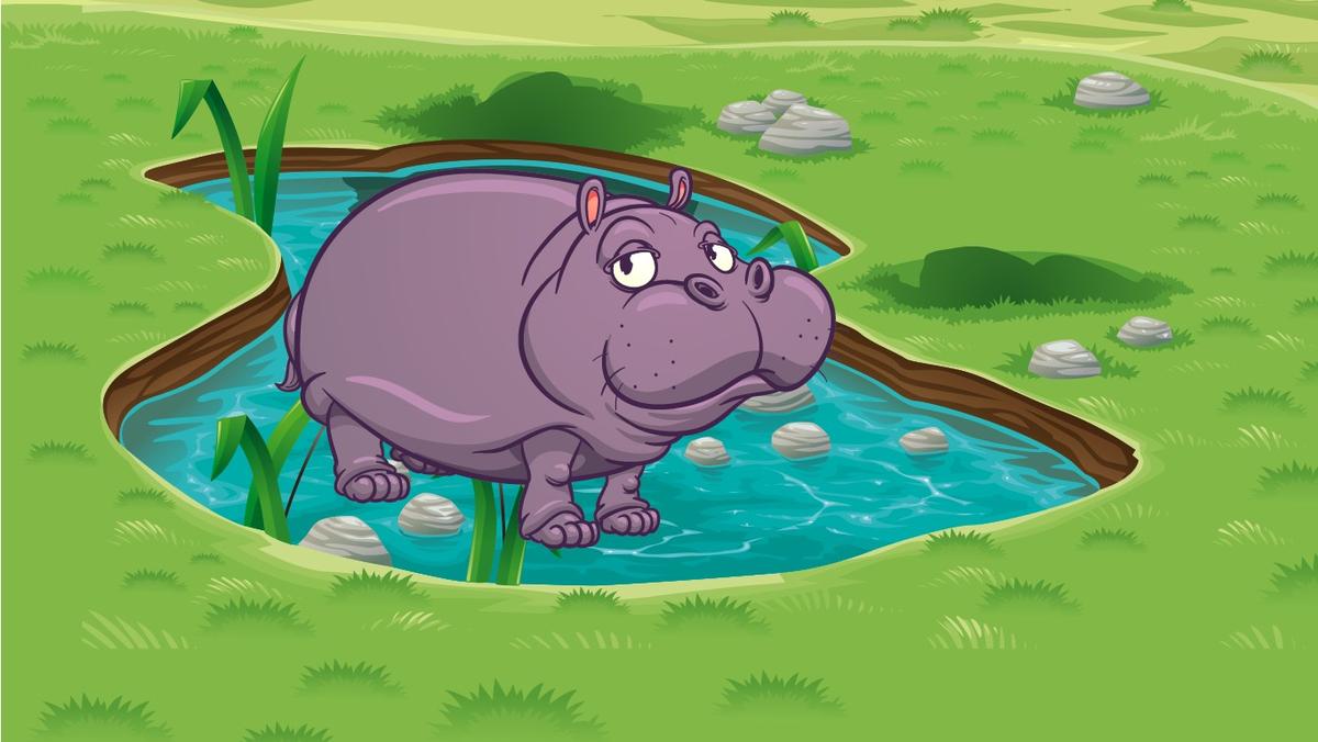 Hippo facts.