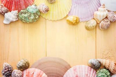 {Sweets Slicer} 1