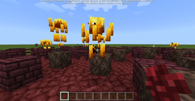 Week 1:nether grassland!?