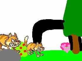 warrior cats  ( read the books😸)