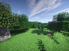 Week 2: Forest Quiz 1