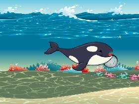 Orca backflip
