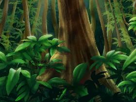 Week 2: Forest Quiz 1