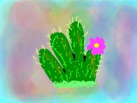 Week 4: Create a Cactus