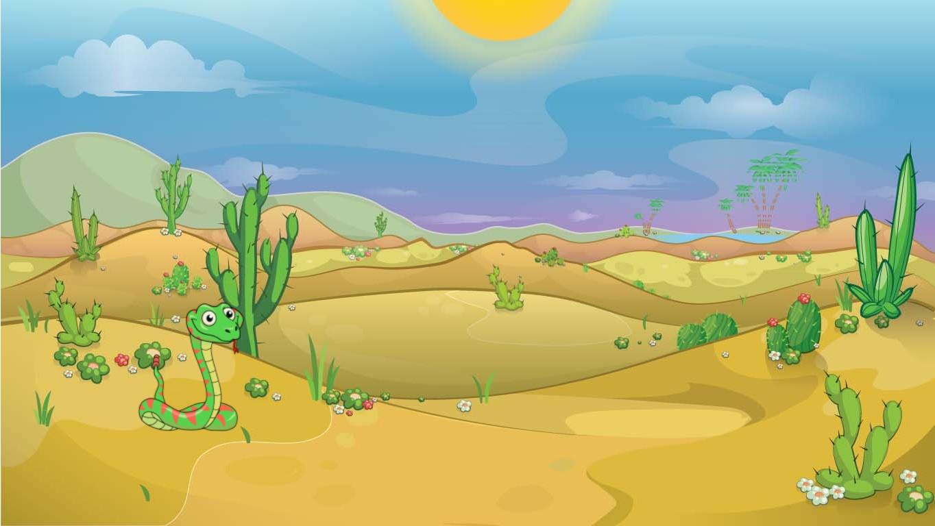 Week 4: Desert Quiz