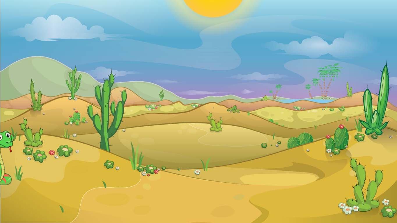 Week 4: Desert Quiz